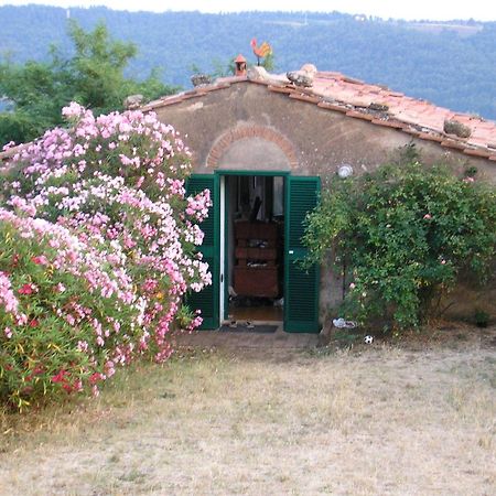 Agriturismo Le Serre リパルベッラ 部屋 写真