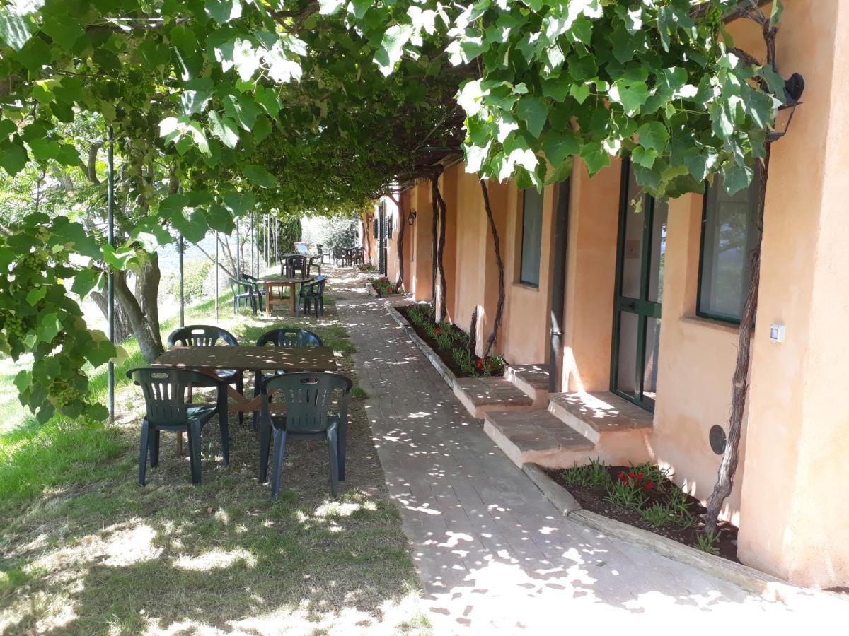 Agriturismo Le Serre リパルベッラ エクステリア 写真
