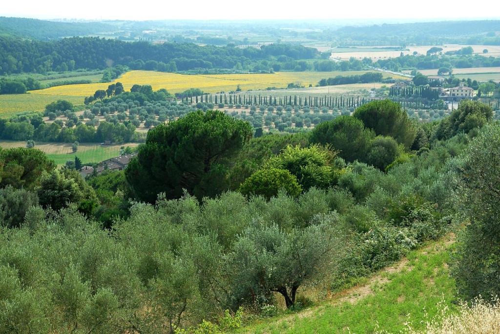 Agriturismo Le Serre リパルベッラ エクステリア 写真