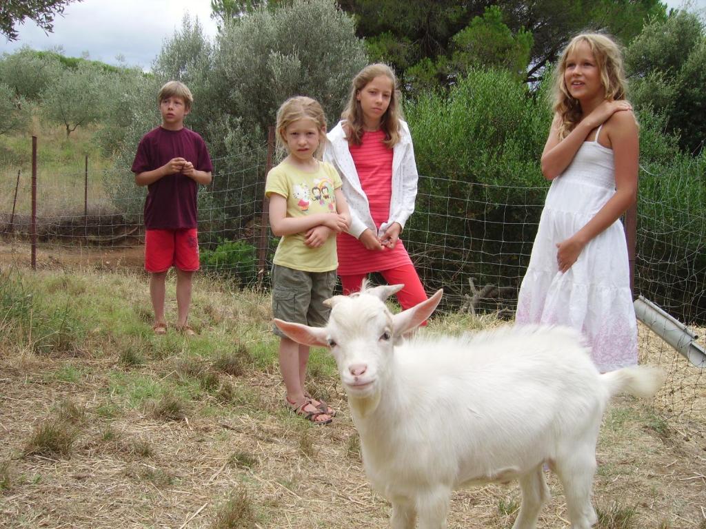 Agriturismo Le Serre リパルベッラ エクステリア 写真