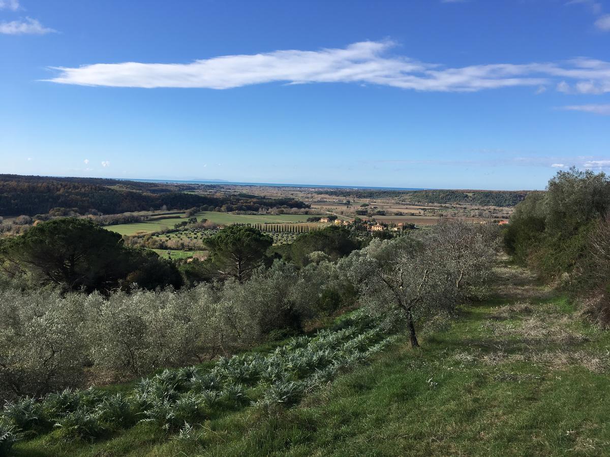 Agriturismo Le Serre リパルベッラ エクステリア 写真